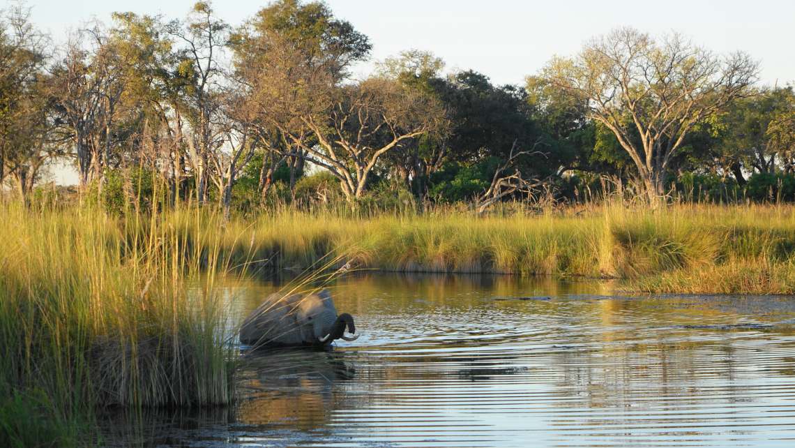 BOTSWANA: IL REGNO DELLA NATURA