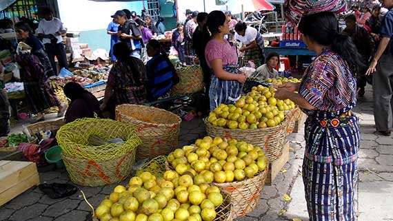Guatemala e Belize: la cultura maya e i Caraibi. Tour di 18 giorni.