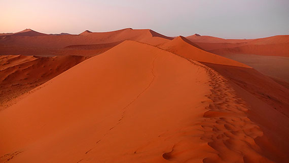 Namibia: diario di viaggio dalla Skeleton Coast al Parco Etosha