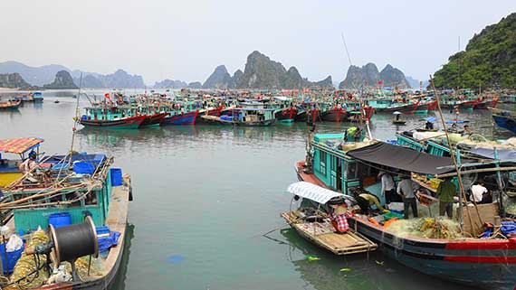 Bai Tu Long Bay: un suggestivo scorcio di oriente antico nel cuore del Vietnam